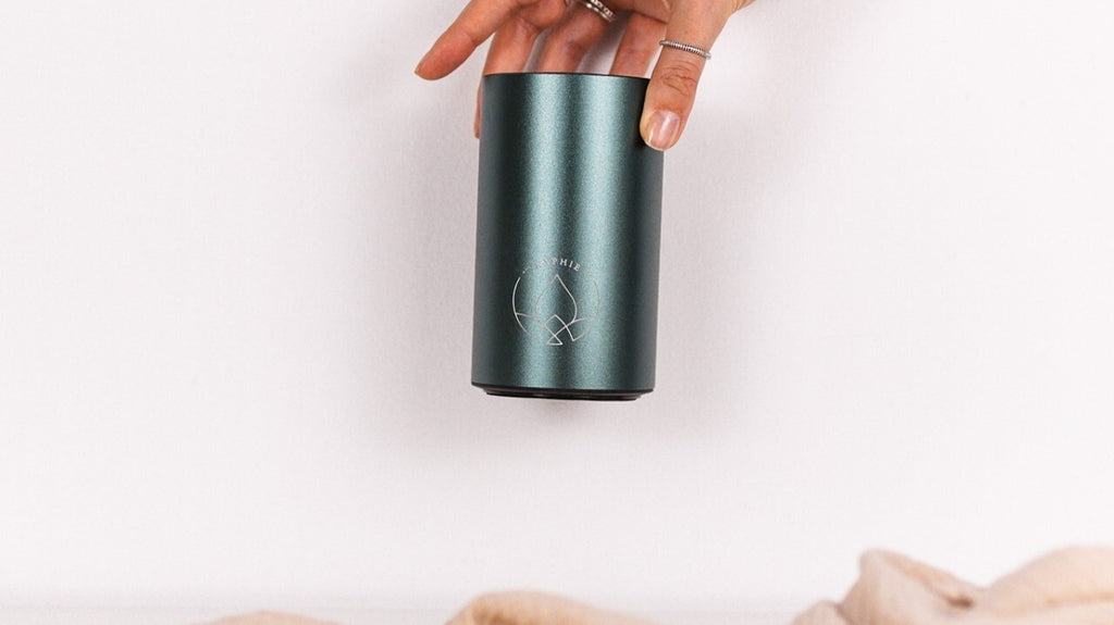 Nurturing Health at Home: The Rise of Wellness Products Post-Pandemic